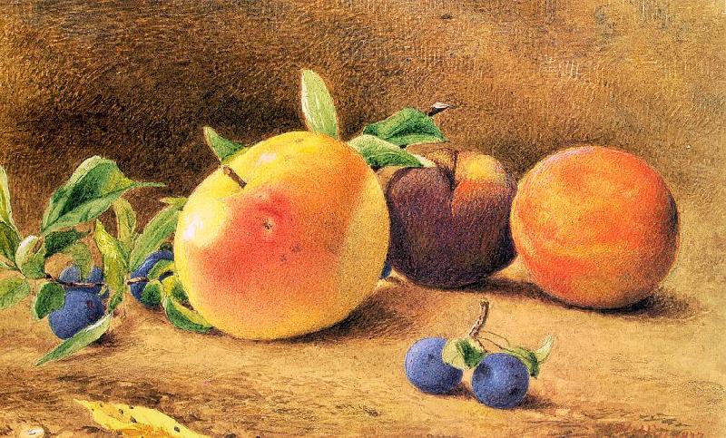 Hill, John William Study of Fruit oil painting picture